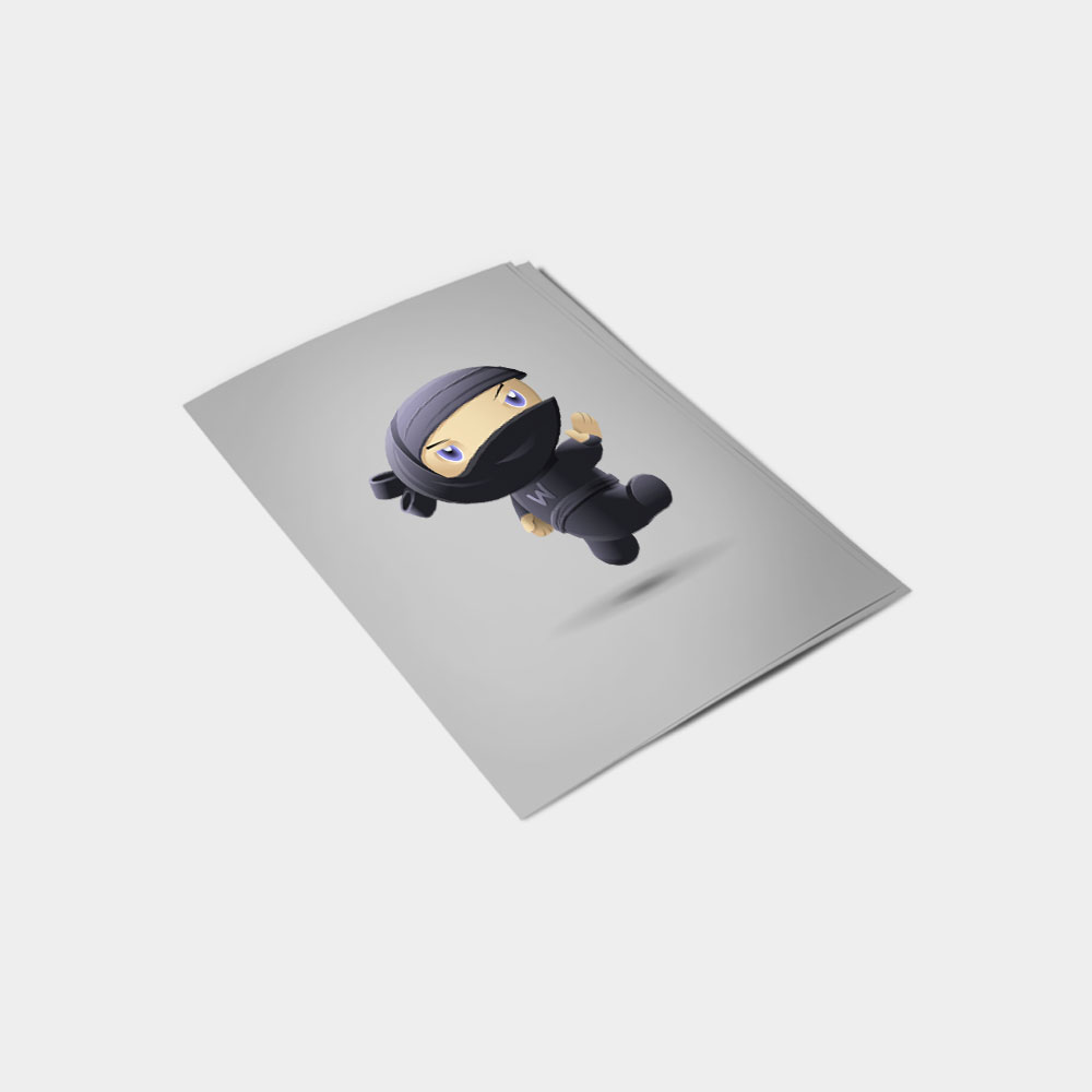 Flying Ninja – Image 2